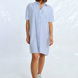 Shirt or Dress