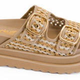 Rumor Has It Slides